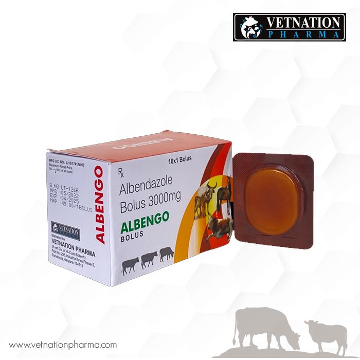 albengo bolus