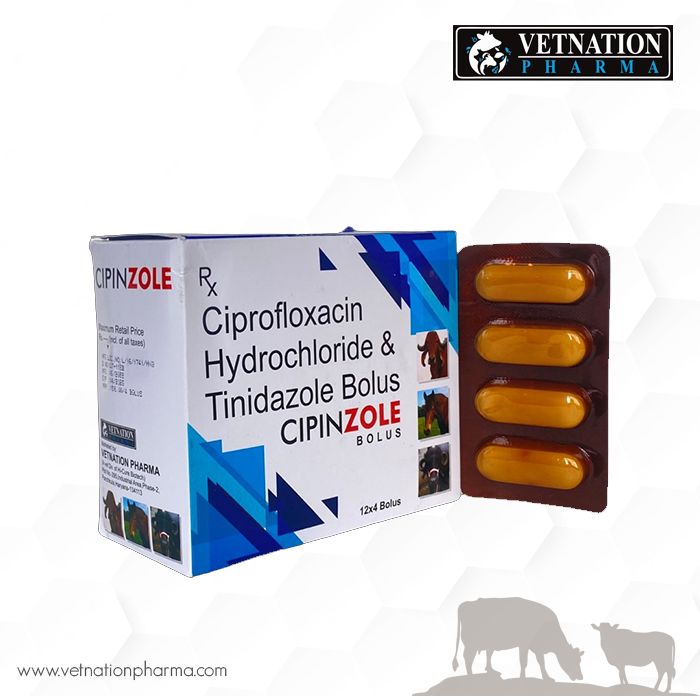 cipin zole bolus