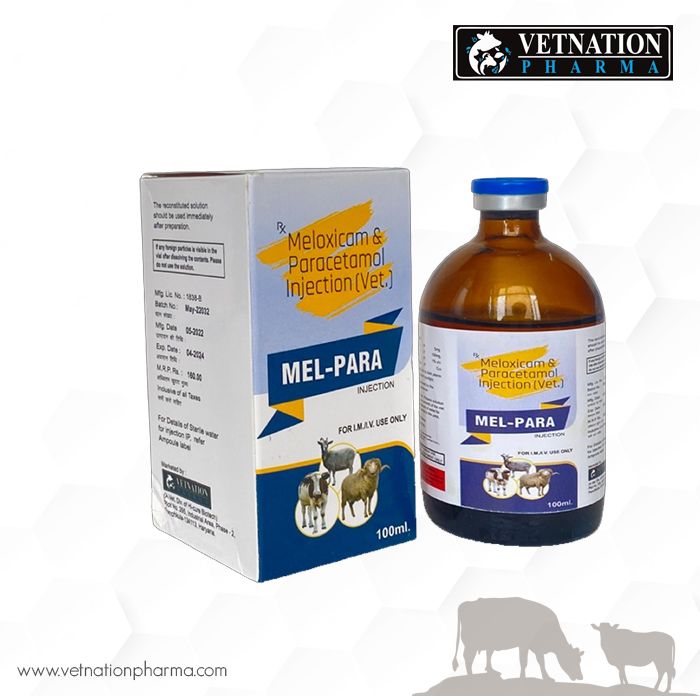 Vet Medicine Manufacturers in India