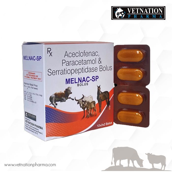 Aceclofenac 400 mg + Paracetamol 1500mg + Serratiopeptidase 75mg Bolus