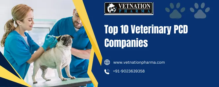 Top 10 Veterinary PCD Companies
