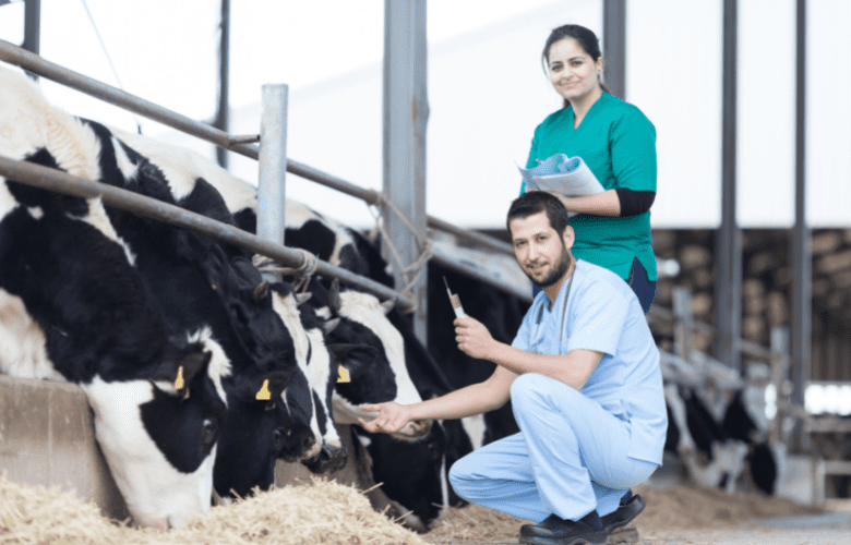 Veterinary Feed Supplement Franchise