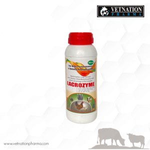 Veterinary Pharmaceutical Manufacturers In India