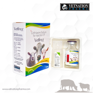 Veterinary Pharmaceutical Manufacturers In India