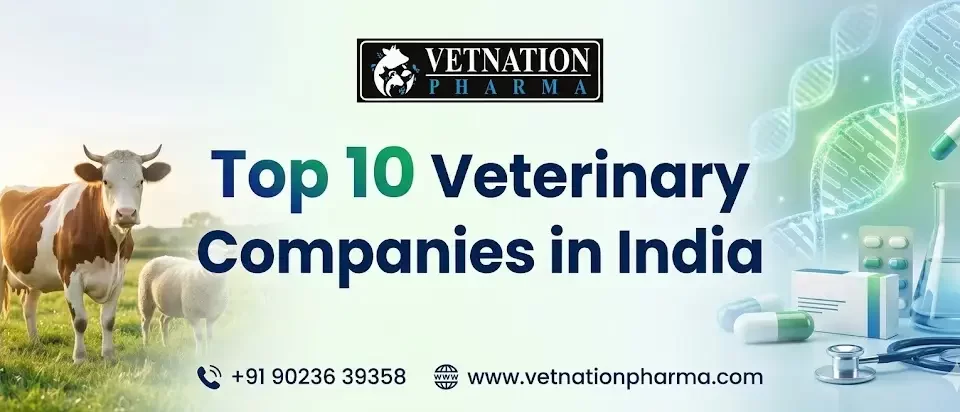 Top 10 Veterinary Pharma Companies in India