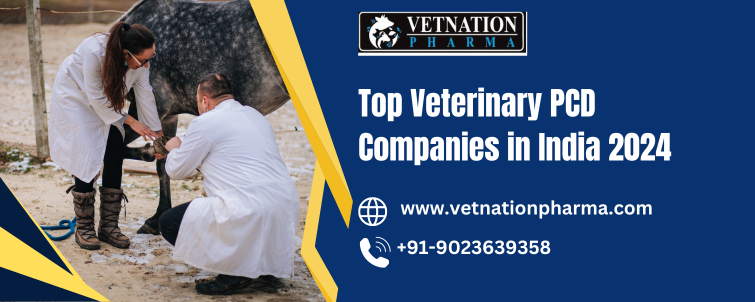 Top Veterinary PCD Companies in India 2024