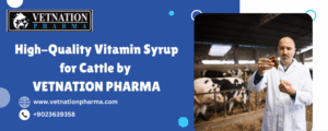 High-Quality Vitamin Syrup for Cattle by Vetnation Pharma