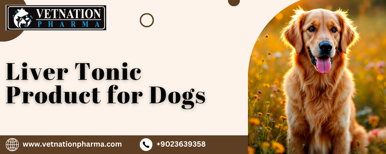 Liver Tonic Product for Dogs