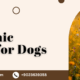 Liver Tonic Product for Dogs