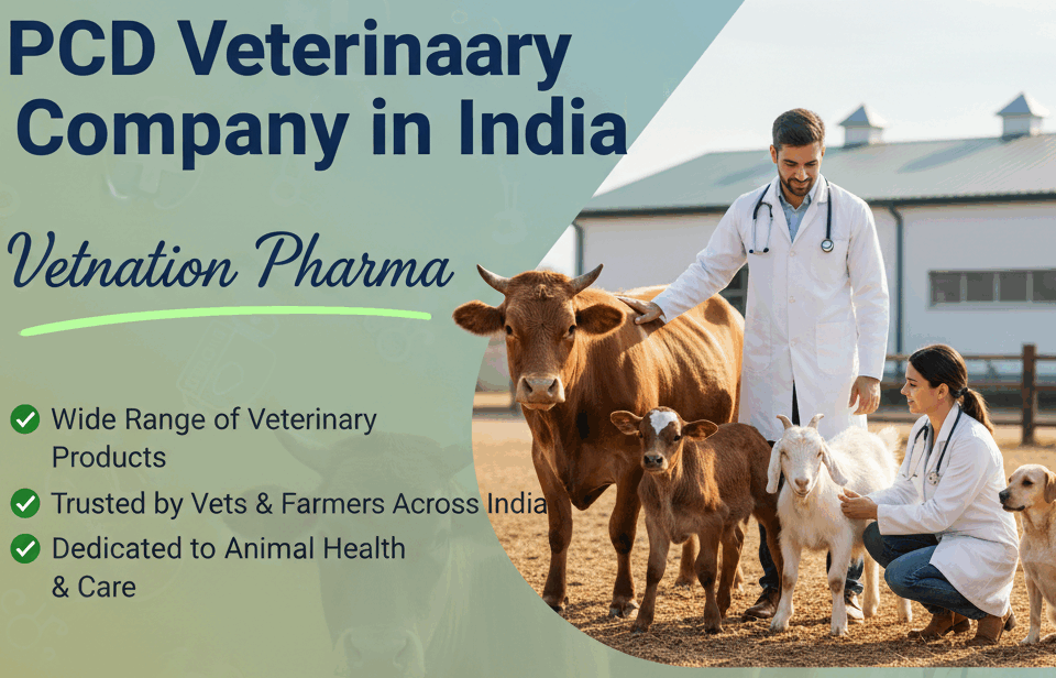 PCD Veterinary Company in India