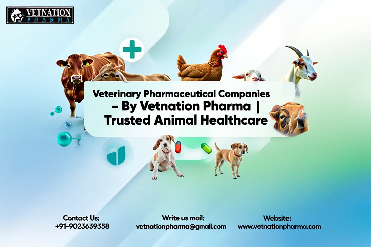 Veterinary Pharmaceutical Companies