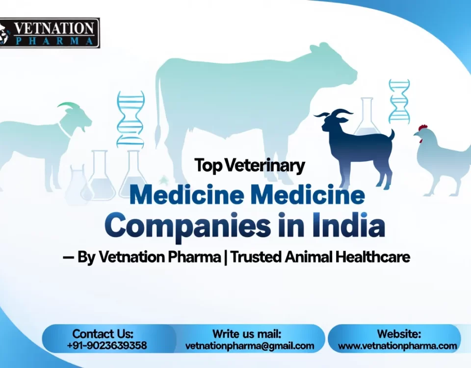 Top Veterinary Medicine Companies in India