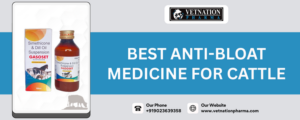 Best ANTI-BLOAT Medicine for Cattle