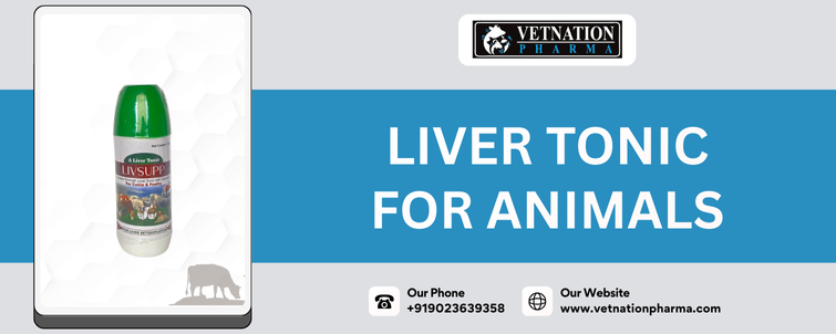 Liver Tonic for Animals