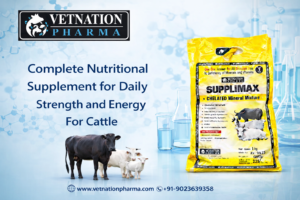 Complete nutritional supplement for daily strenth and energy for cattle
