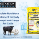 Complete nutritional supplement for daily strenth and energy for cattle