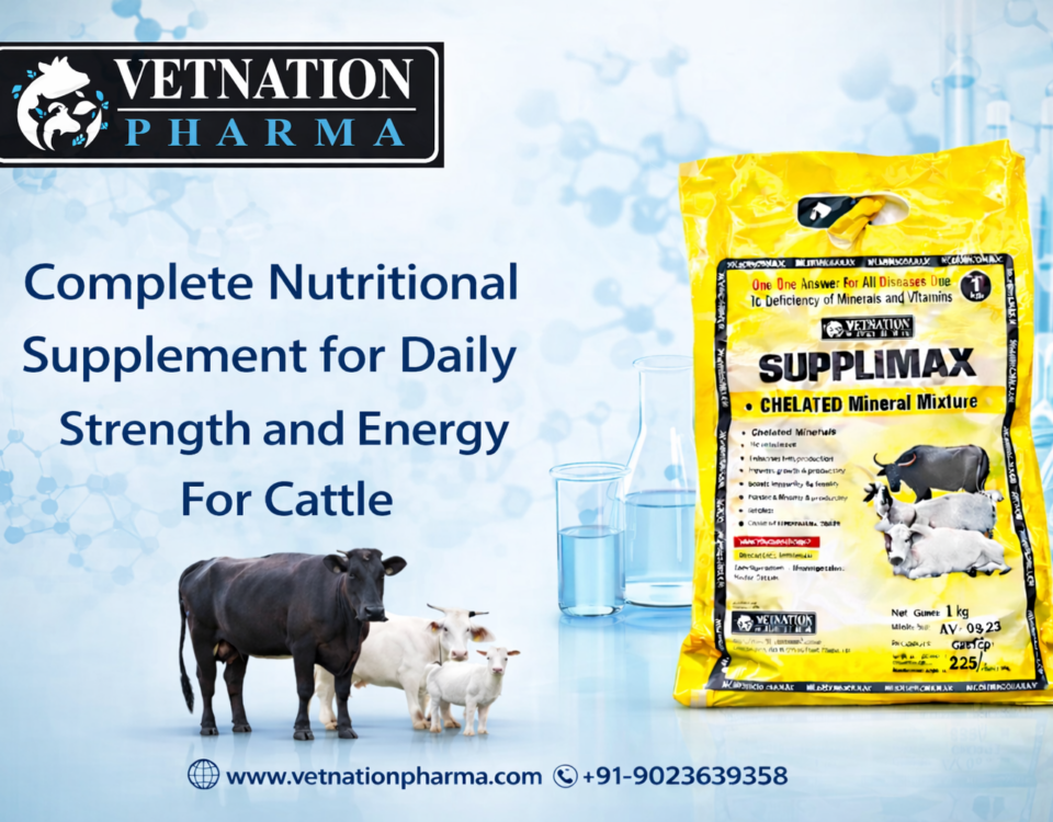 Complete nutritional supplement for daily strenth and energy for cattle