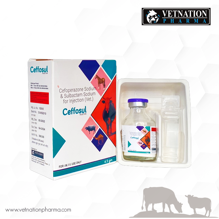 Best Cefoperazone Sulbactam injection for animals
