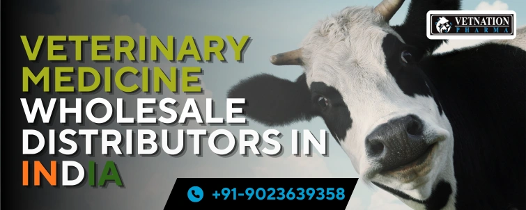 Veterinary Medicine wholesale distributors in India