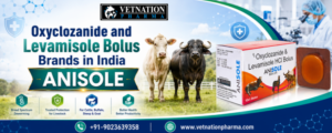 Oxyclozanide and Levamisole Bolus Brands in India