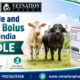 Oxyclozanide and Levamisole Bolus Brands in India