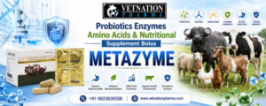 Probiotics Enzymes Amino Acids & Nutritional Supplement Bolus